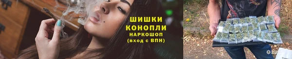 прущие грибы Арсеньев
