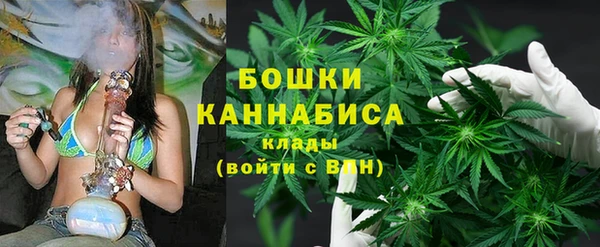 прущие грибы Арсеньев
