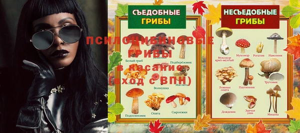 прущие грибы Арсеньев