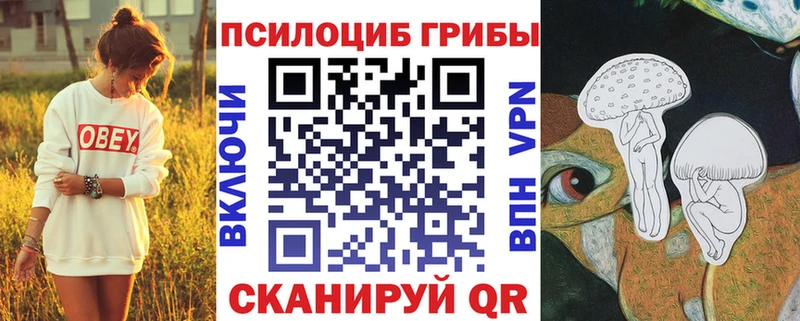 маркетплейс какой сайт  что такое   Суворов  Псилоцибиновые грибы GOLDEN TEACHER 